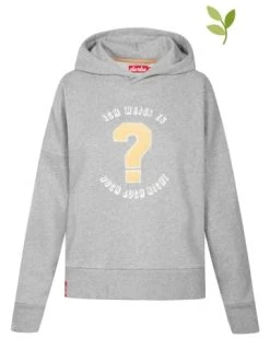 Rabatt 🌟 Bekleidung Derbe Hoodie In Grau Günstig Kaufen ❤️